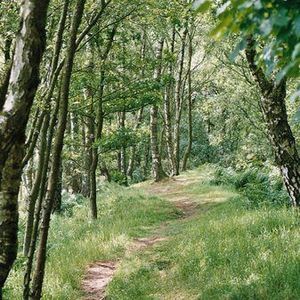 Meet your Posher, Gwendolyn